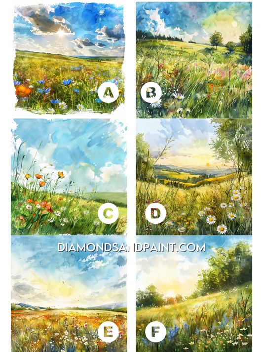 Blooming Meadows – Wildflower Spring Field Paint by Numbers Kit for a Vibrant DIY Art Experience